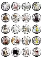 ����� ��������� ������� ���� / ������