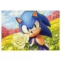 ���� Sonic (������ A3, 252 ������) 68214