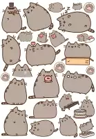 �������� ��� �����