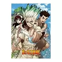 Плакат бумажный "Dr. Stone" Senkuu, Taiju, и Yuzuriha