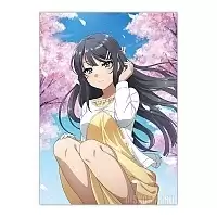 ������ �������� Seishun Buta Yarou wa Bunny Girl Senpai no Yume wo Minai - ��� �����������
