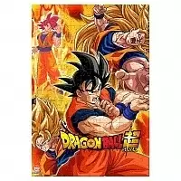 ���� �������� ������: ����� - ��� ���� (������ A3, 252 ������)