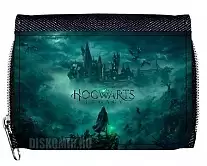 ������� ��������� Hogwarts Legacy