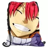 Мешок для обуви Fairy Tail 302298