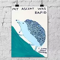 ������ ��� ��������� My Ascent was Rapid / ������ �� �����