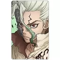 Магнит прямоугольный "Dr. Stone" Ishigami Senkuu