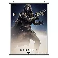 ������� �������� Destiny Hunter