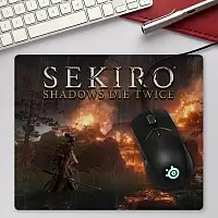 ������ ��� ����� ������������� Sekiro: Shadows Die Twice Fire Fight