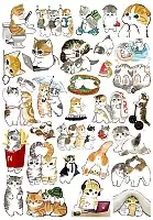 �������� ����� ������