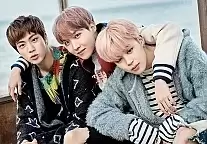 ������ �������� ����������������� BTS