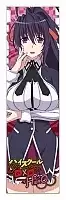 �������� ��� ���� High School DxD Hero Himejima Akeno