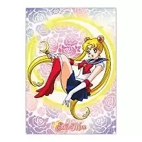 ������ �������� "Sailor Moon" Sailor Moon