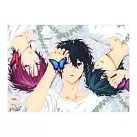 Плакат бумажный "Free! Iwatobi Swim Club" Ikuya, Rin и Haruka