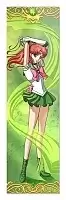 �������� ��� ���� Bishoujo Senshi Sailor Moon