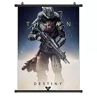 ������� �������� Destiny Titan