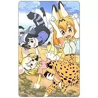 ������ ��������� ������������� ������-�������� - Serval, Common Raccoon � Fennec