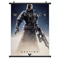 ������� �������� Destiny Warlock