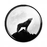 ������ Teen Wolf Moon and Wolf