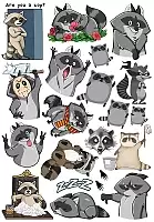 �������� Funny Raccoons
