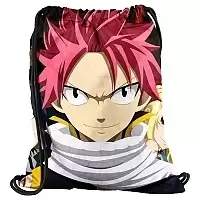 Мешок для обуви Fairy Tail 302295