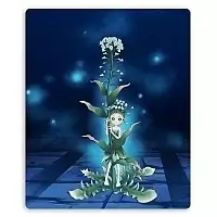 ������ ��� ����� ������������� ������� Chitch