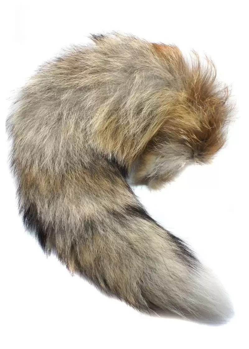 ���������� ������� ����� ����� ����������� ��� ��������� �� ����� � ����� 