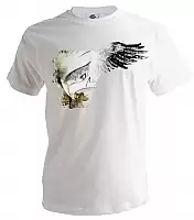 ����� �������� ����� �������