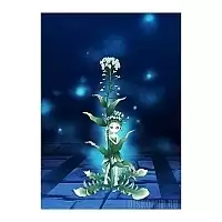 ������ �������� "�������" Chitch