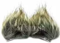 ���� ����� ���� � ���������� ��������� (������� ���)