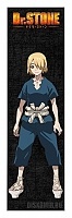  Dr. Stone Ginrou
