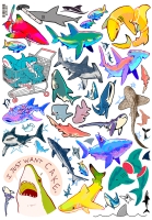 �������� ����� / Sharks