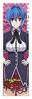  High School DxD Hero Xenovia