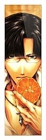  Saiyuki - Hakkai / 