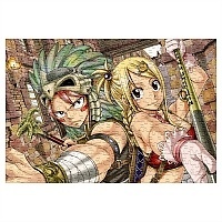 ���� Fairy Tail (������ A3, 252 ������) 67128