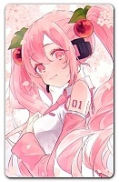    -   No.7