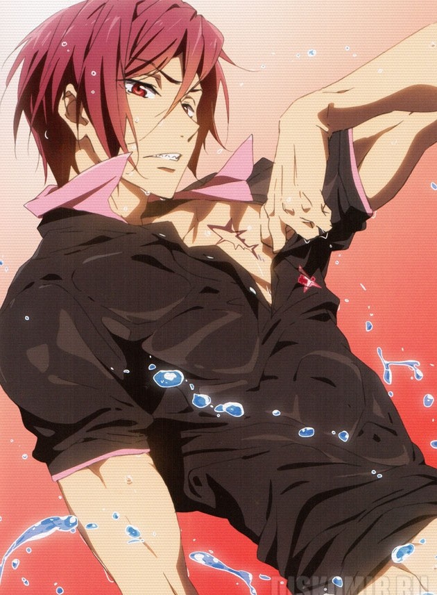 ������ �������� Free! Rin Matsuoka