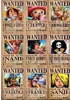   One Piece  10