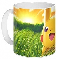  Pokemon 