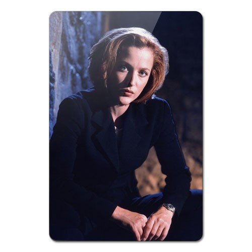 ���������� ������� ������ ��������� ������������� The X-Files 351963 �� ����� � ����� ��������� ��������� / The X-Files