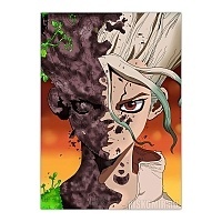   Dr. Stone Art