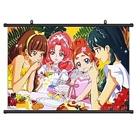   Go! Princess Precure - Haruka Haruno, Minami Kaidou, Kirara Amanogawa, Towa Akagi