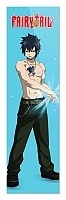  Fairy Tail Gray Fullbuster