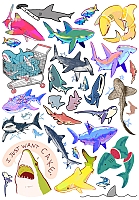 ������� ����� / Sharks