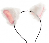     "Cat Collection"