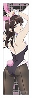    Saekano - Megumi Bunny Ver.