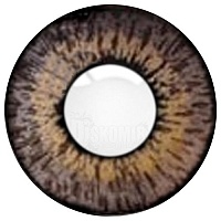     Cooper Vision Color Tones Grey