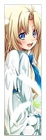  Tate no Yuusha no Nariagari - Firo