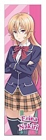  Shokugeki no Souma Erina Nakiri
