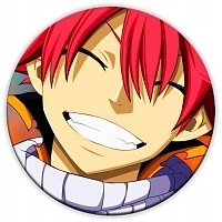    Fairy Tail 95661