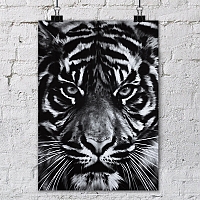 ������ ��� ��������� Untitled (Tiger Head 2) / ������ �� �����